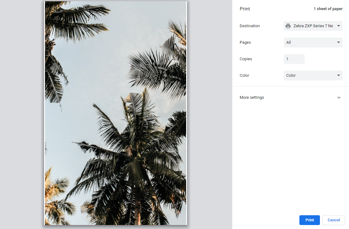Printing PDF Files Using Zebra Card Printers